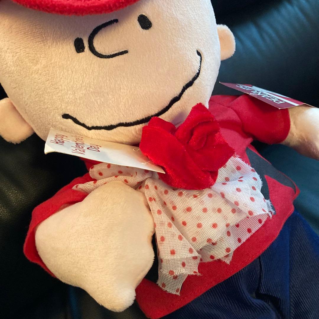 PEANUTS チャーリーブラウン バレンタイン US ぬいぐるみ SNOOPY