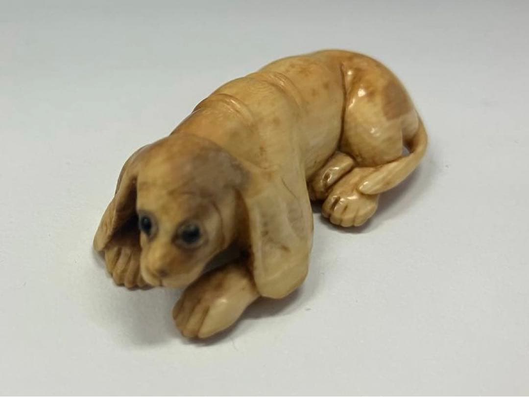 犬 骨董 古物 根付け 根付 ビーグル