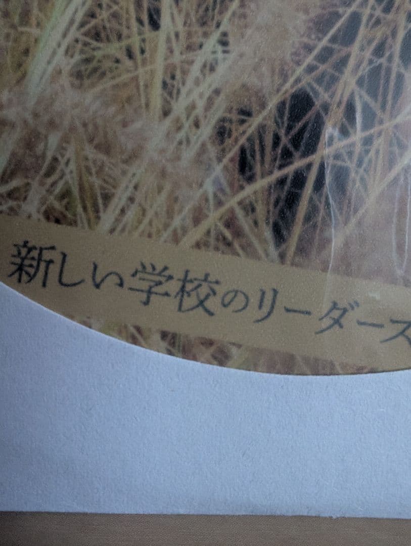 新しい学校のリーダーズ 売れてなかった時手売りしてたCD サイン入り