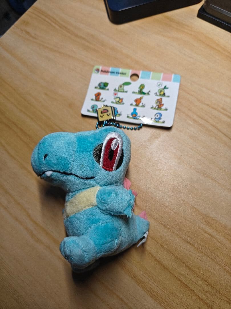 ポケモンセンター 連れ歩き マスコット ぬいぐるみ ワニノコ