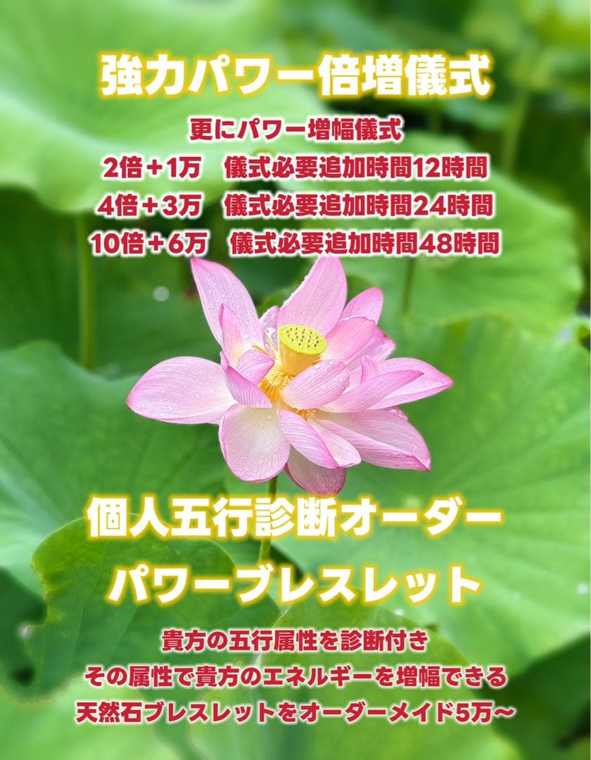 最強神道術式かけ！超直感力で目標達成！ 【超レア希少】デュモルチェライト
