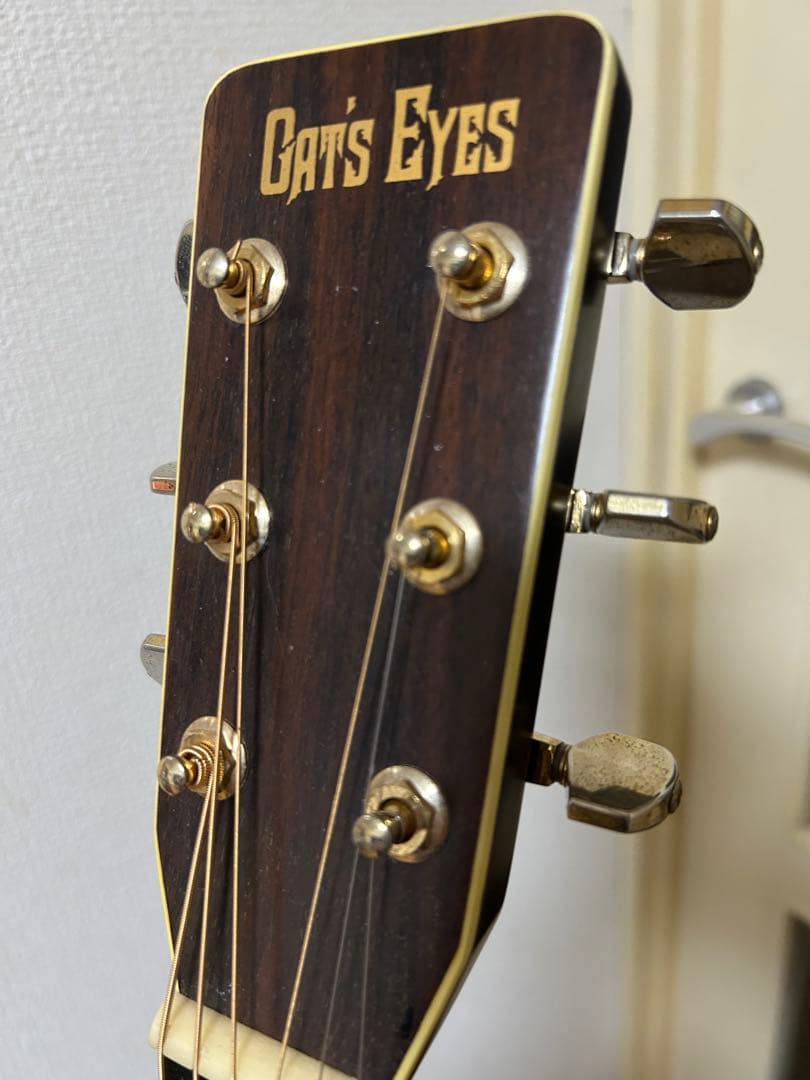 Cat's Eyes CE-500 大文字ロゴ アコースティックギター - ギター通販