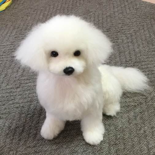 羊毛フェルト♡マルチーズ参考♡ - 羊毛フェルトオンライン で 販売