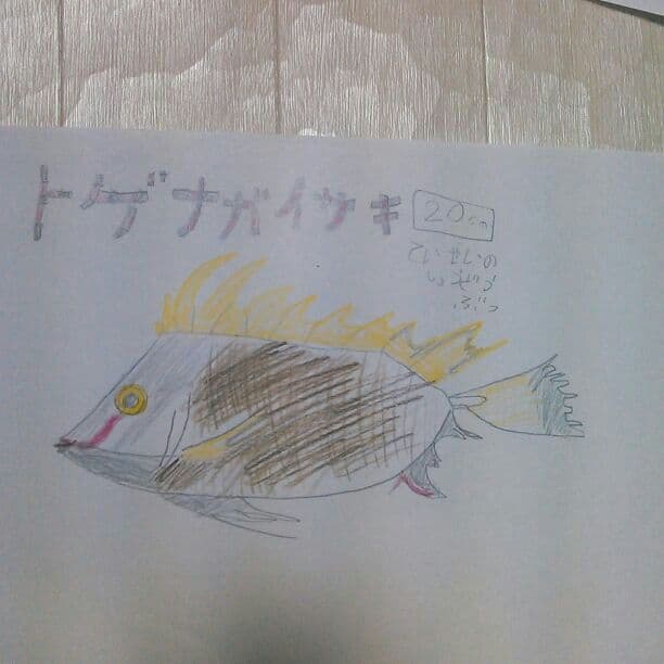 魚の絵！ Missy Trachurus japonicus] Drawing Fish Diagram with crayons in 3