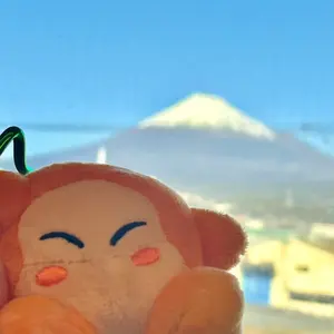 GIGO TWICE LOVELYS おくるみマスコット ツウィ - メルカリ
