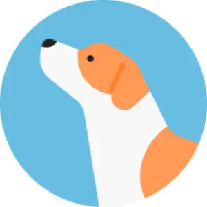 関係者配布品 ホロライブ Reバース ぺこら SNR シリアルなしver 3期生
