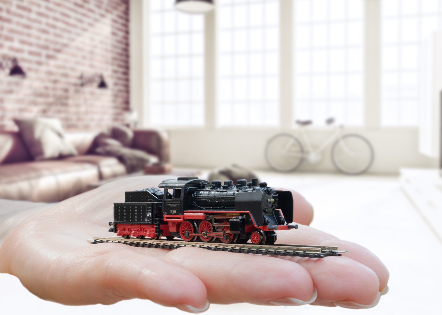 Museum Passenger Train