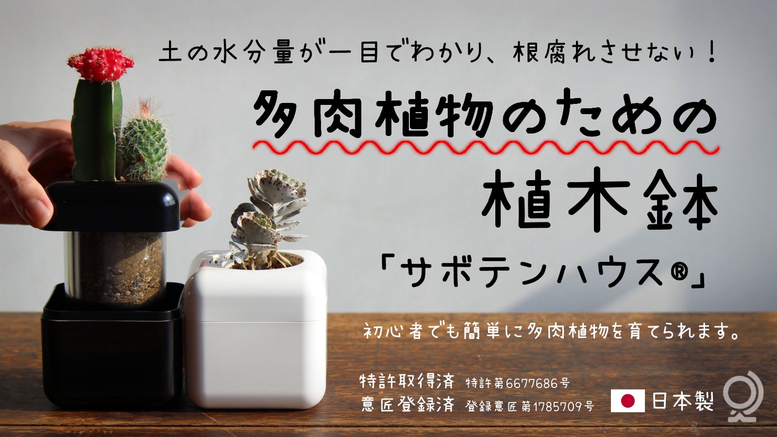 特許取得】根腐れ防止！多肉植物専用の室内用植木鉢｜マクアケ