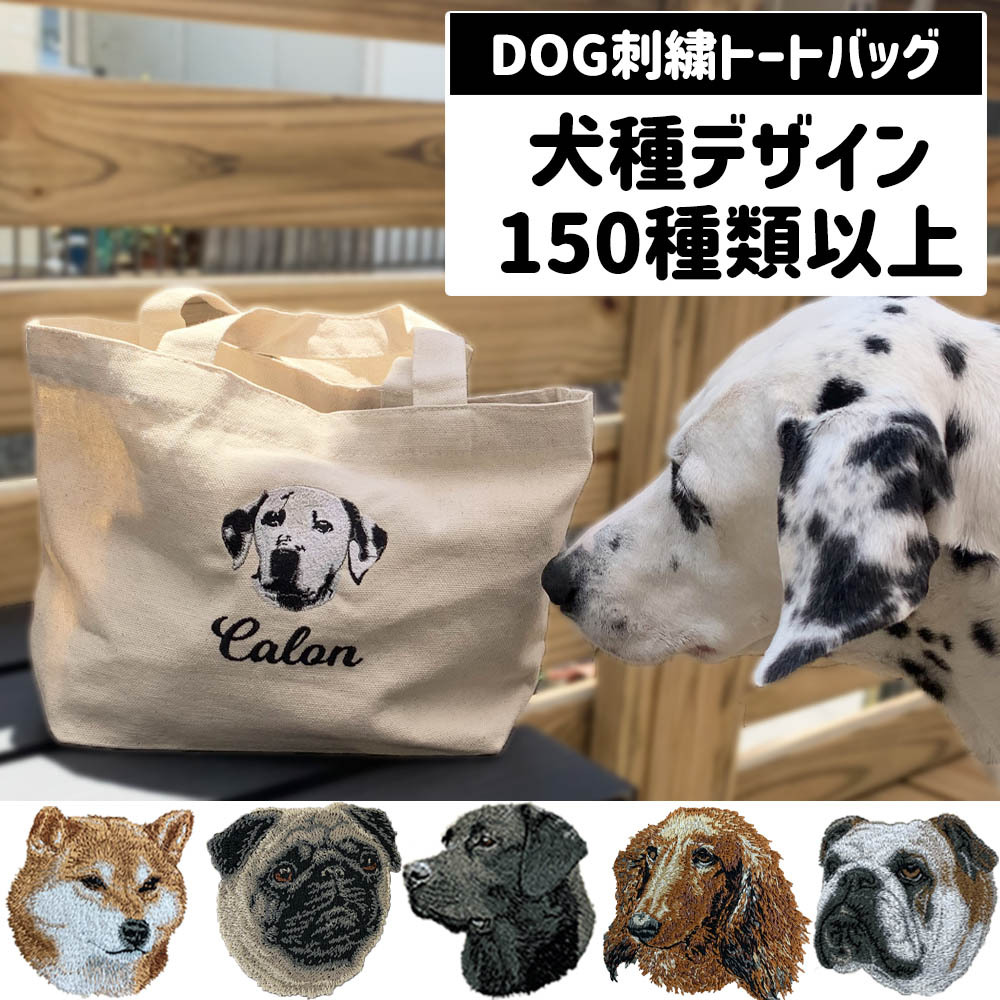 5b33c6cae737425f588ca22242dca2