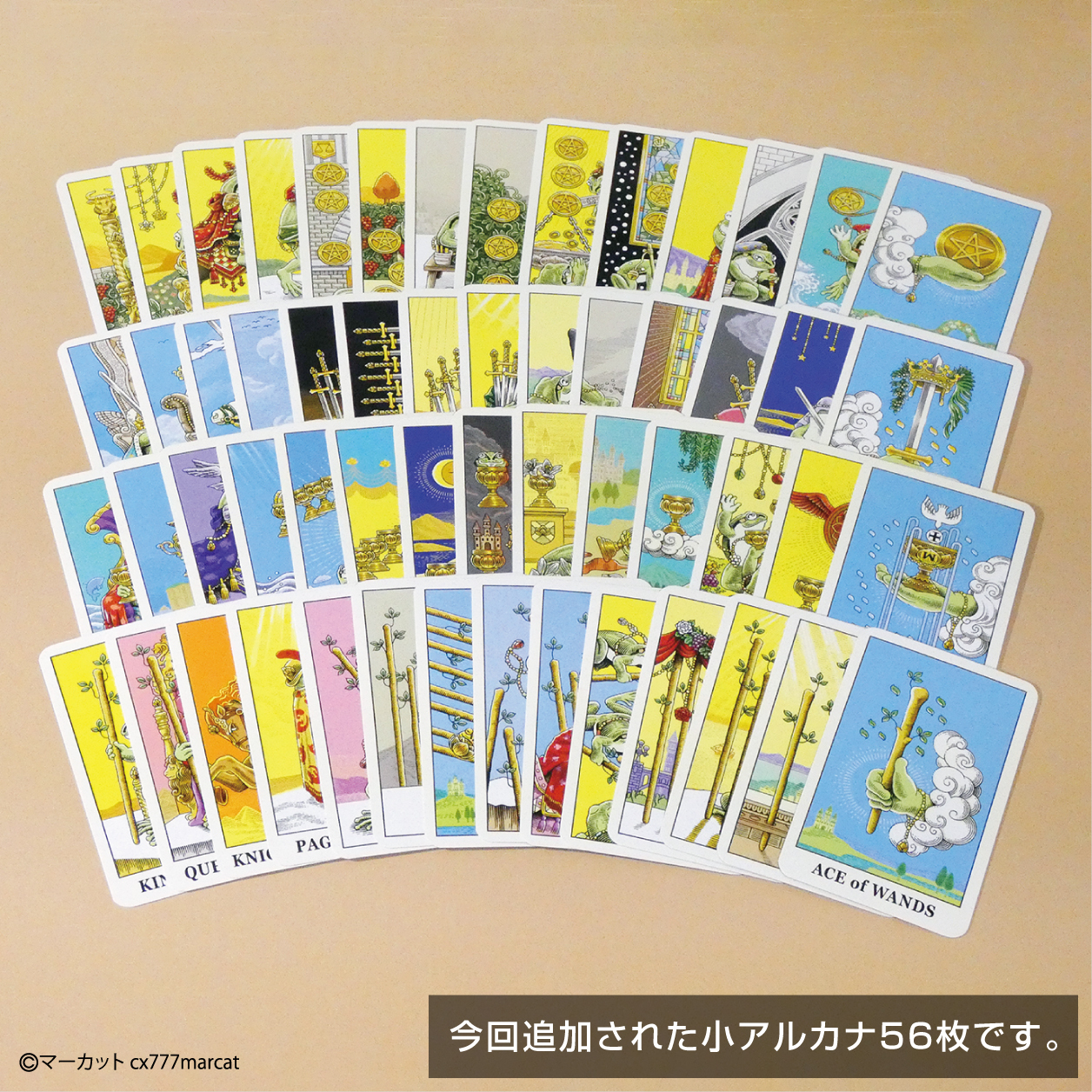 ケロットカード】かえるのミニタロット・小アルカナ 56種／カード本体