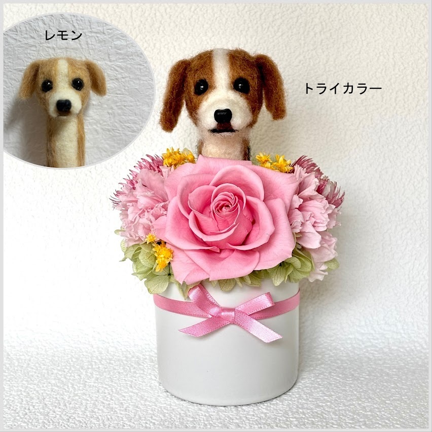 ちょこんと顔出す ダックスフンド（右側）＆ プリザーブドフラワー