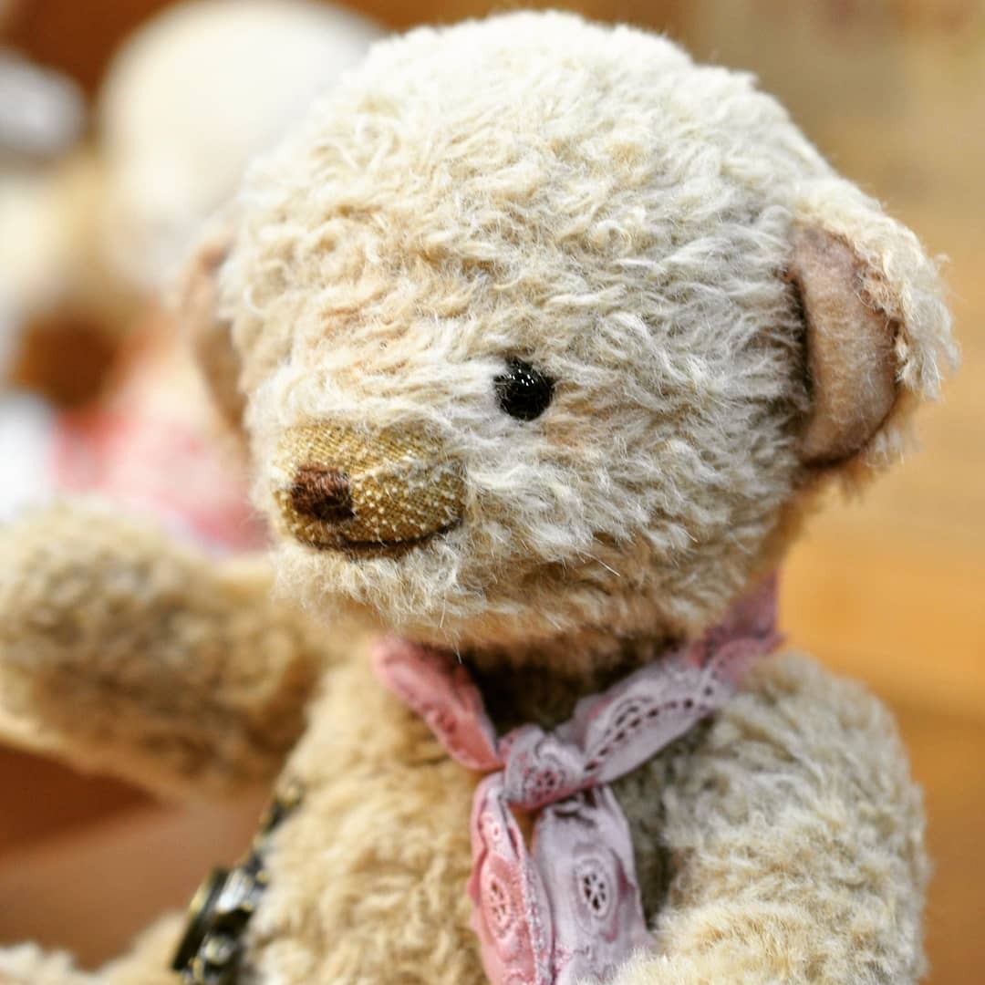 世界でひとつのテディベア - Teddy Bear