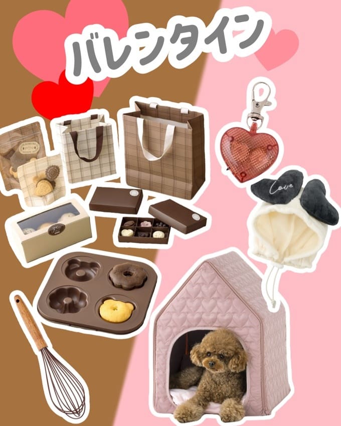 新商品】可愛いバレンタインアイテムご紹介💕 - 3COINS(スリーコインズ