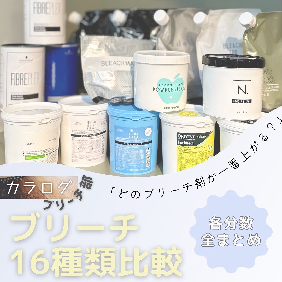 アクセスフリー ブリーチパウダー 500gの卸・通販 | ビューティガレージ