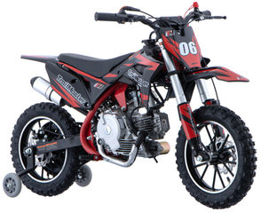 TrailMaster TM06-110 | TrailMaster