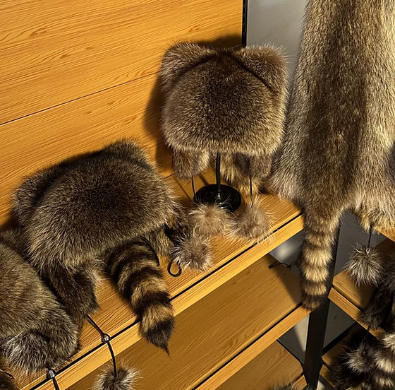 本物のアメリカンアライグマの毛皮の帽子、アライグマの毛皮の帽子