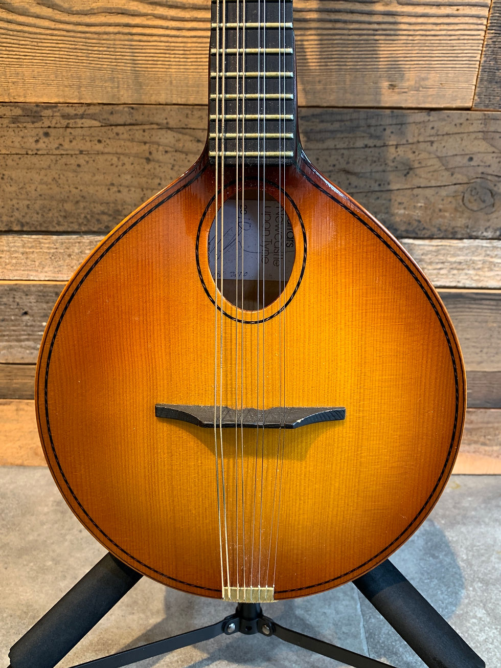 S. Yairi YF-3M/N | guitartrailer