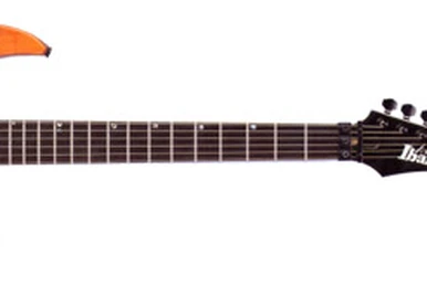 RG2450MZ | Ibanez Wiki | Fandom