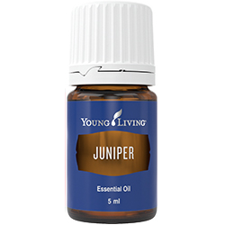 10%OFFジュニパー（8/26〜9/15）なくなり次第終了 | Young Living