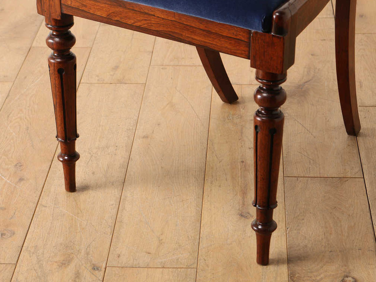 Lloyd's Antiques Real Antique Regency Chair / ロイズ・アンティーク