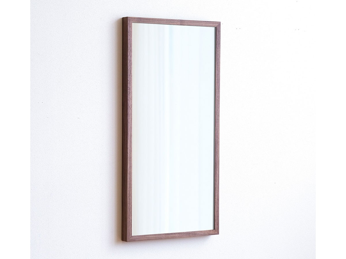 FLYMEe Vert MIRROR SANO / フライミーヴェール ミラー サノ 42 × 84