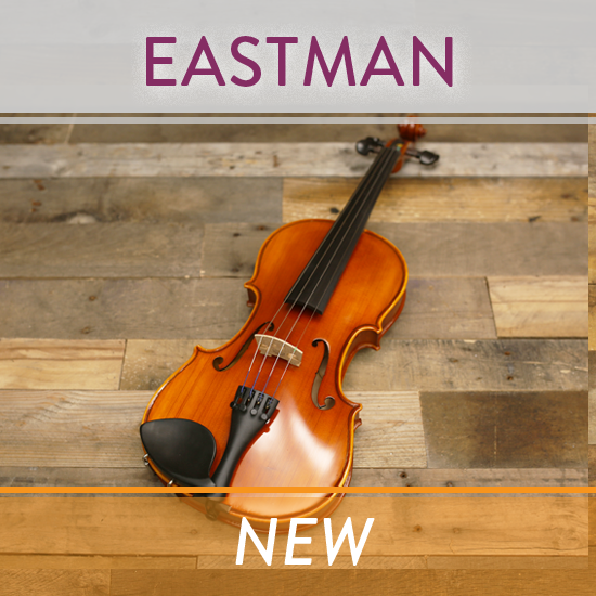 Eastman Strings Violin Model VL80 with Case and Bow (New) - Star