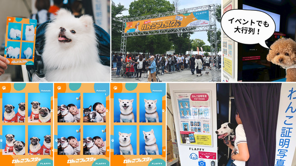 神奈川県横浜市】台紙の種類は70種類以上に増加！「わんこ専用証明写真
