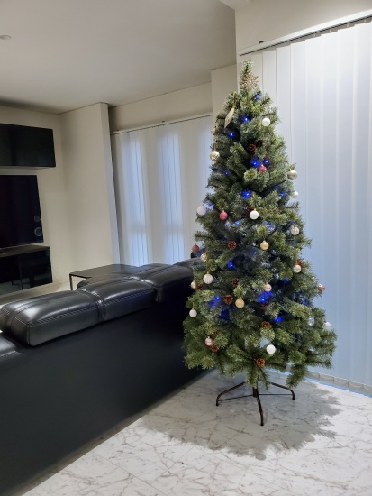 アルザスのクリスマスツリー、買ってよかった！サイズは180cmを購入